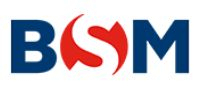 BSM CSC St. Petersburg
