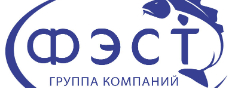 Группа компаний ФЭСТ