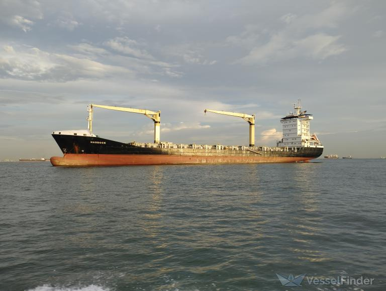 Фото судна MSC DIYA F