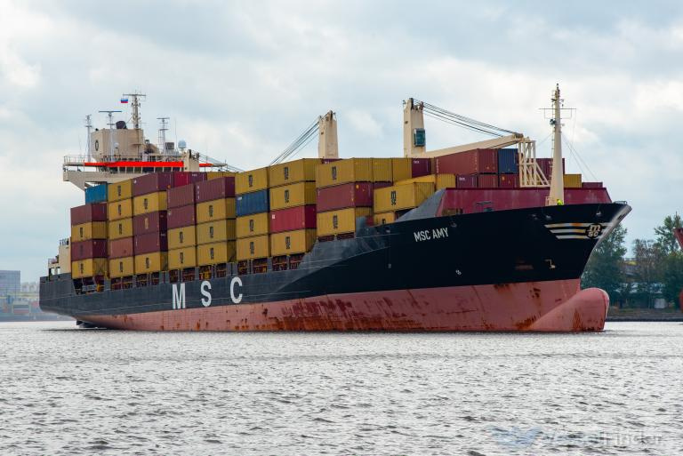 MSC Amy vessel photo