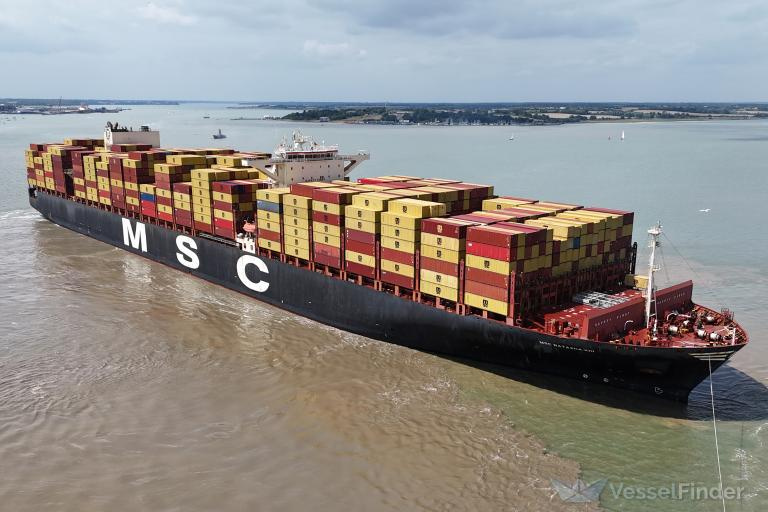 MSC Natasha XIII vessel photo